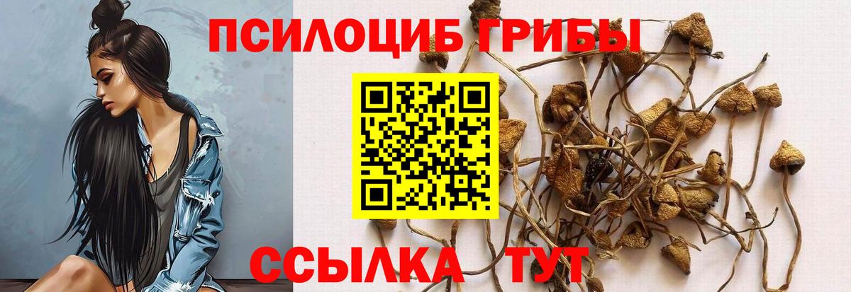 Верхний Уфалей  Галлюциногенные грибы Cubensis  Вход с VPN 