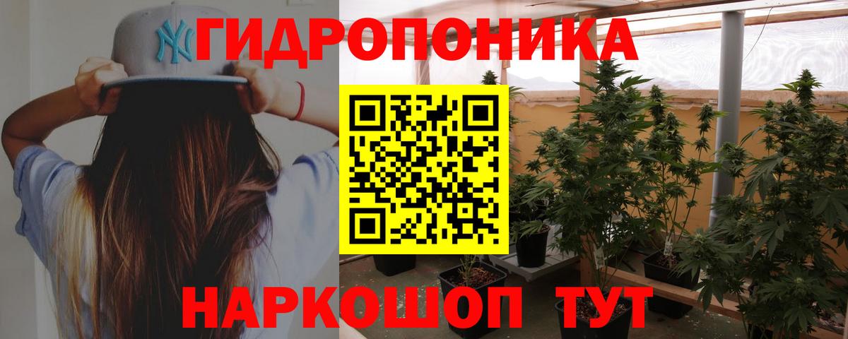 Каннабис индика  Шишки марихуана THC 21%  Бошки Шишки семена  Вход с VPN  Верхний Уфалей 